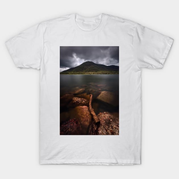 Driftwood T-Shirt by Geoff79